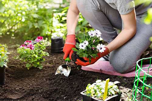 Gardening