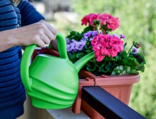 Yearly Summer Chores to Upkeep Your Home